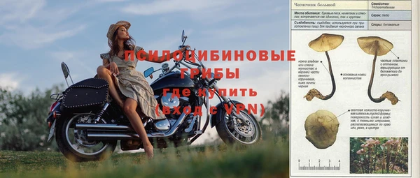 стаф Надым