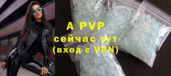 стаф Надым