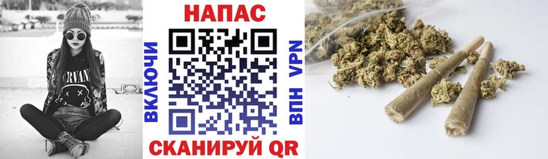 Купить Новоалександровск Шишки марихуана OG Kush